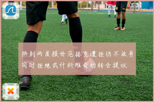 热刺两度报价范赫克遭拒仍不放弃同时拒绝武什科维奇的转会提议